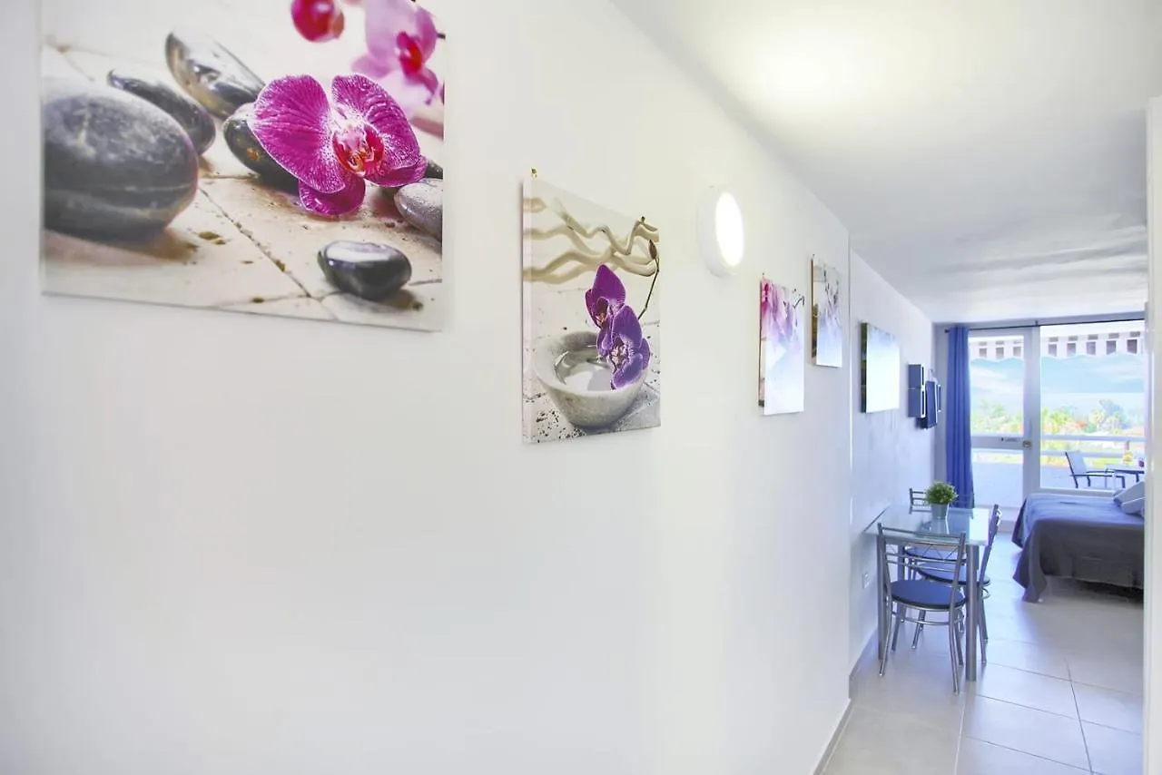 Διαμέρισμα Studio With Sea View In Borinquen Playa Feñabe Ισπανία